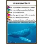 Le plus grand mammifère marin est la baleine bleue. Elle peut atteindre 30 mètres de long.