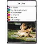 Le lion 2- DIY - Un lion, deux lionnes et un lionceau dorment au soleil.