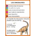 Les dinosaures sont des créatures le plus souvent énormes, plus de 500 kg, même si le plus petit connu à ce jour pesait 2,5kg. Le plus gros pesait 80 tonnes.