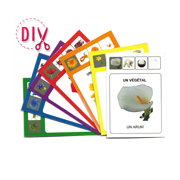 Mon premier SoCartes- DIY - SoCartes est un jeu de société pour les enfants